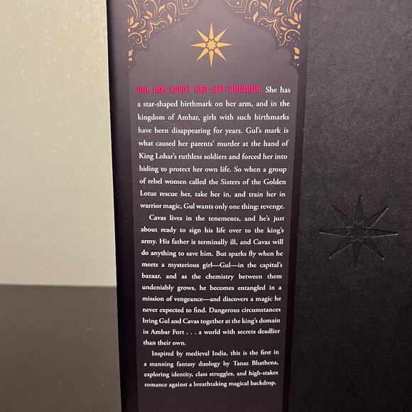 HUNTED BY THE SKY by Tanaz Bhathena Fantasy Novel ~ YA Literature ~ India - Picture 5 of 5